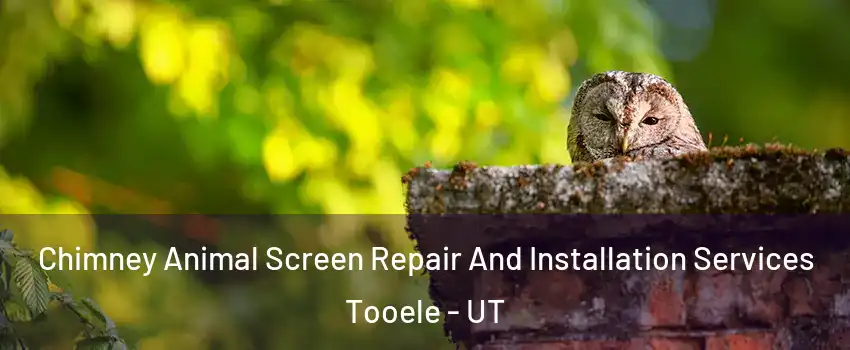  Chimney Animal Screen Repair And Installation Services Tooele - UT