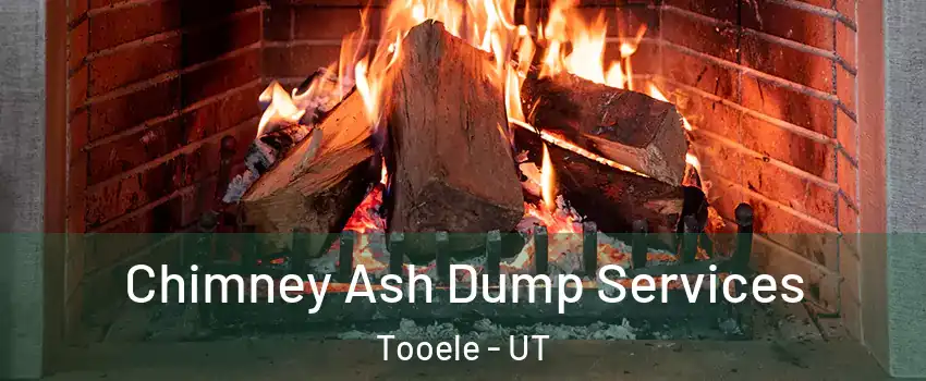  Chimney Ash Dump Services Tooele - UT