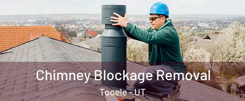  Chimney Blockage Removal Tooele - UT