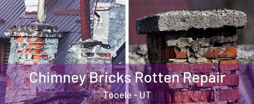  Chimney Bricks Rotten Repair Tooele - UT