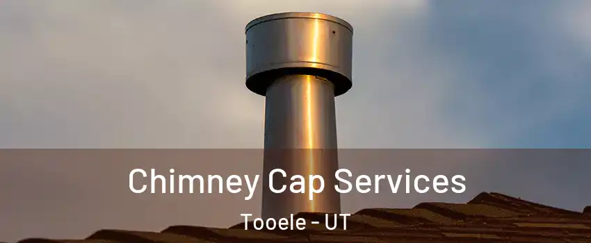  Chimney Cap Services Tooele - UT