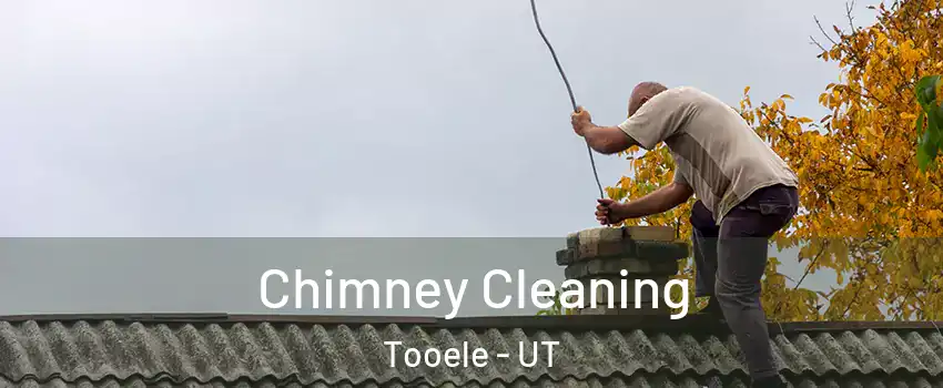  Chimney Cleaning Tooele - UT