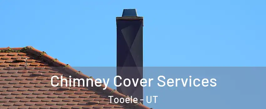  Chimney Cover Services Tooele - UT