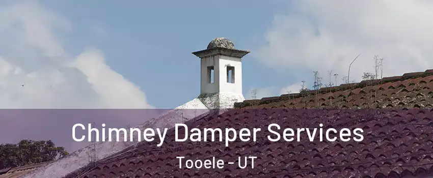  Chimney Damper Services Tooele - UT