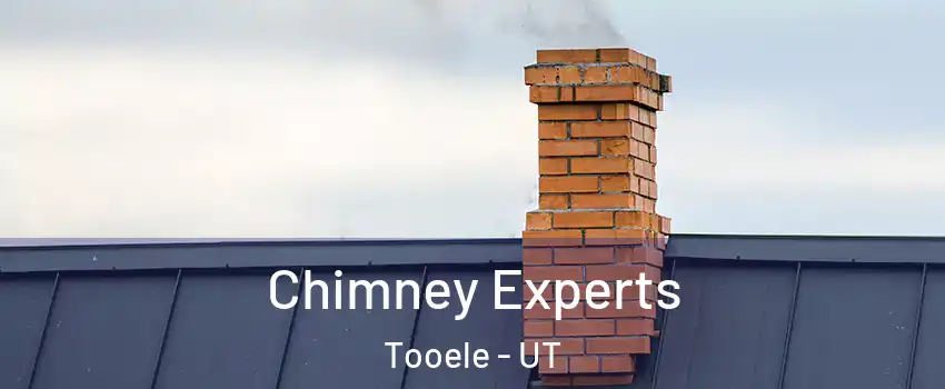 Chimney Experts Tooele - UT