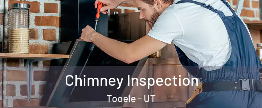  Chimney Inspection Tooele - UT