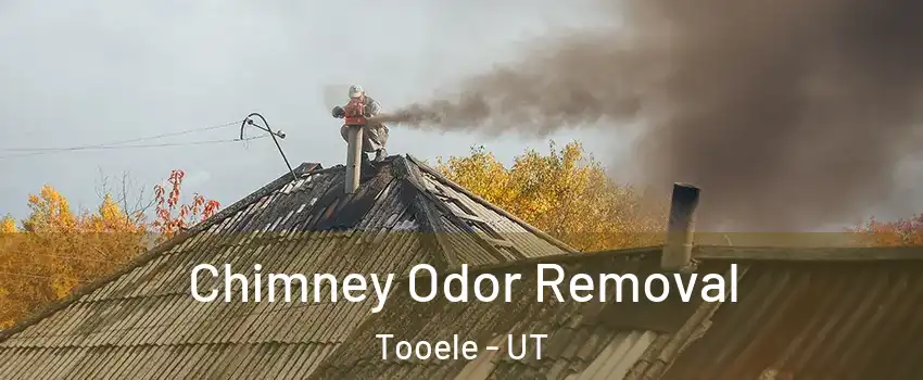 Chimney Odor Removal Tooele - UT
