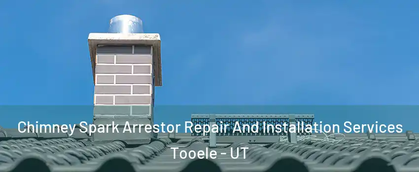  Chimney Spark Arrestor Repair And Installation Services Tooele - UT