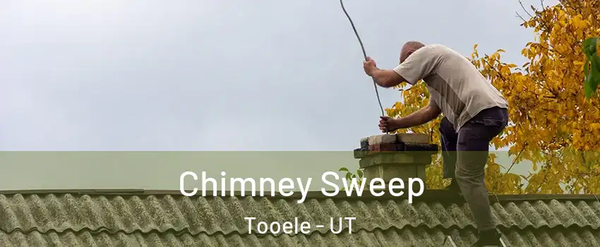  Chimney Sweep Tooele - UT