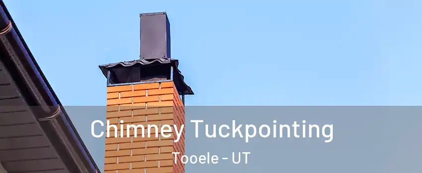  Chimney Tuckpointing Tooele - UT