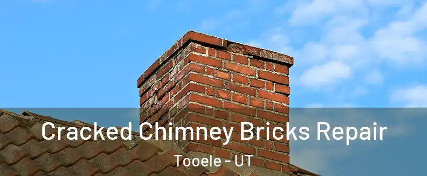  Cracked Chimney Bricks Repair Tooele - UT