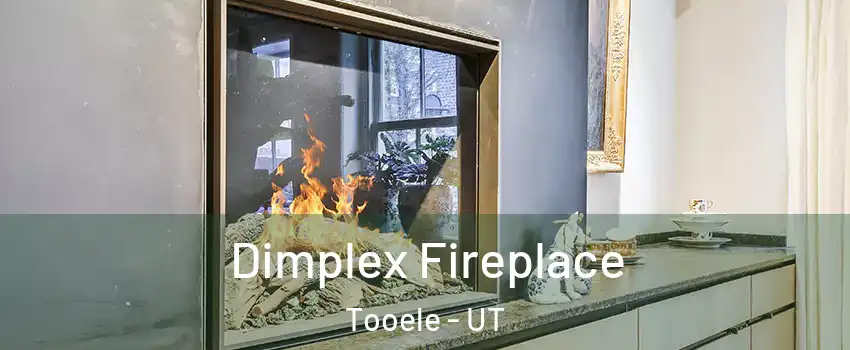  Dimplex Fireplace Tooele - UT