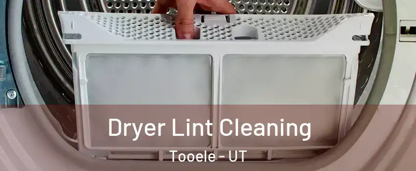  Dryer Lint Cleaning Tooele - UT