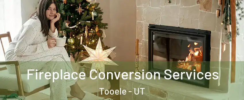  Fireplace Conversion Services Tooele - UT