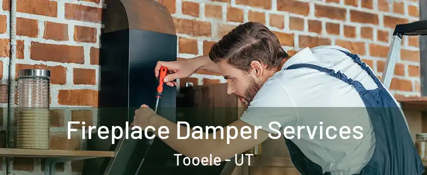  Fireplace Damper Services Tooele - UT