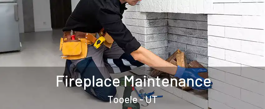  Fireplace Maintenance Tooele - UT