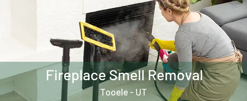  Fireplace Smell Removal Tooele - UT