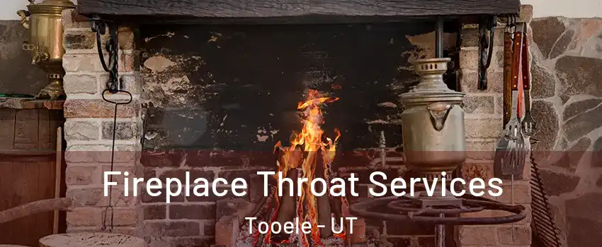  Fireplace Throat Services Tooele - UT