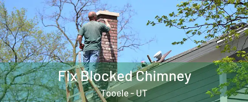  Fix Blocked Chimney Tooele - UT