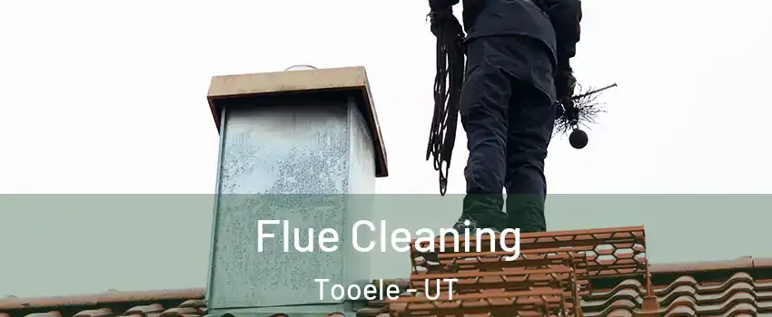  Flue Cleaning Tooele - UT