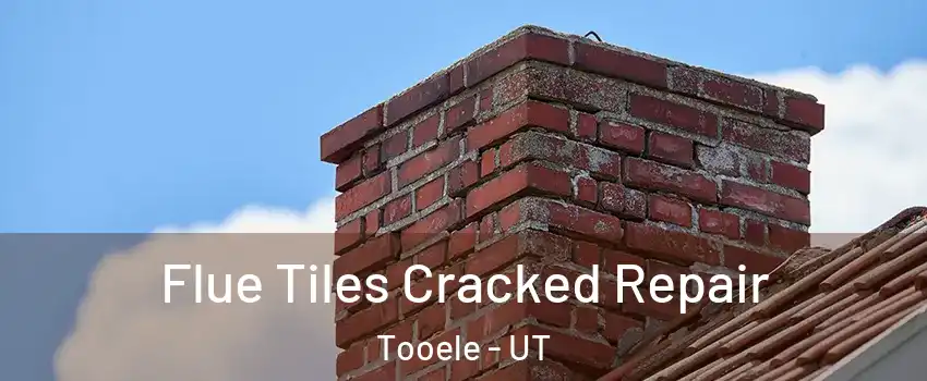  Flue Tiles Cracked Repair Tooele - UT