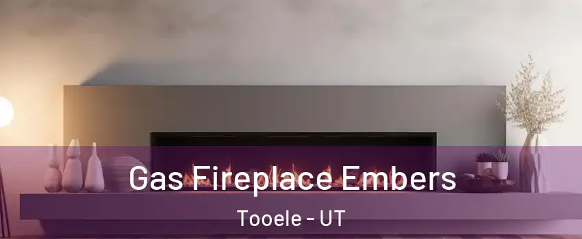  Gas Fireplace Embers Tooele - UT