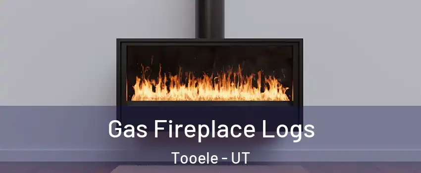  Gas Fireplace Logs Tooele - UT