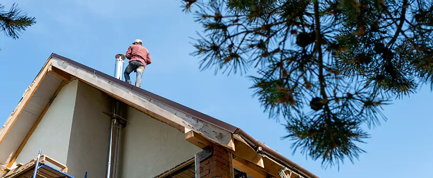 Birds Removal Contractors from Chimney in Tooele, UT