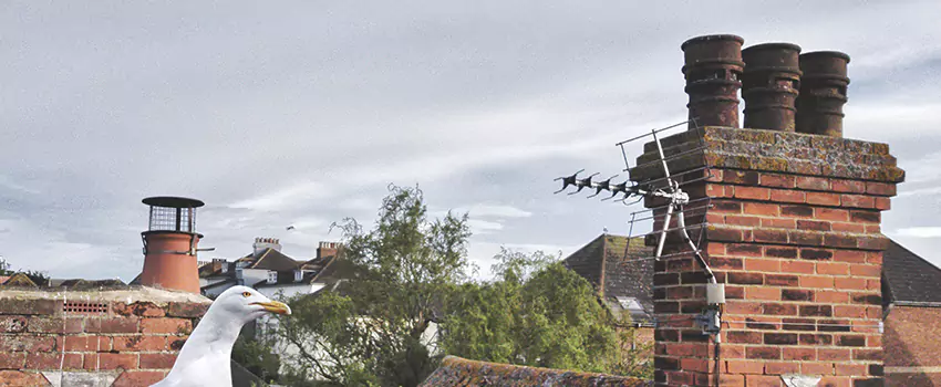 Chimney Cleaning And Restoration in Tooele, Utah