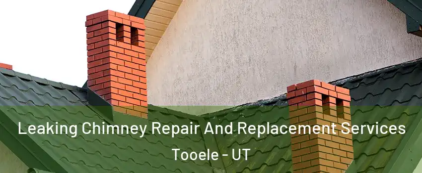  Leaking Chimney Repair And Replacement Services Tooele - UT