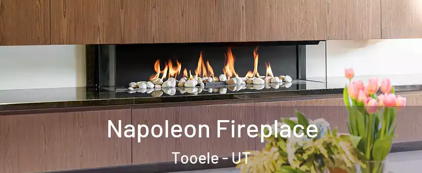  Napoleon Fireplace Tooele - UT
