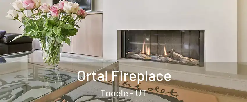 Ortal Fireplace Tooele - UT
