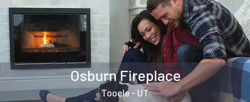  Osburn Fireplace Tooele - UT