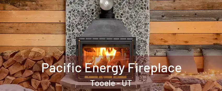  Pacific Energy Fireplace Tooele - UT